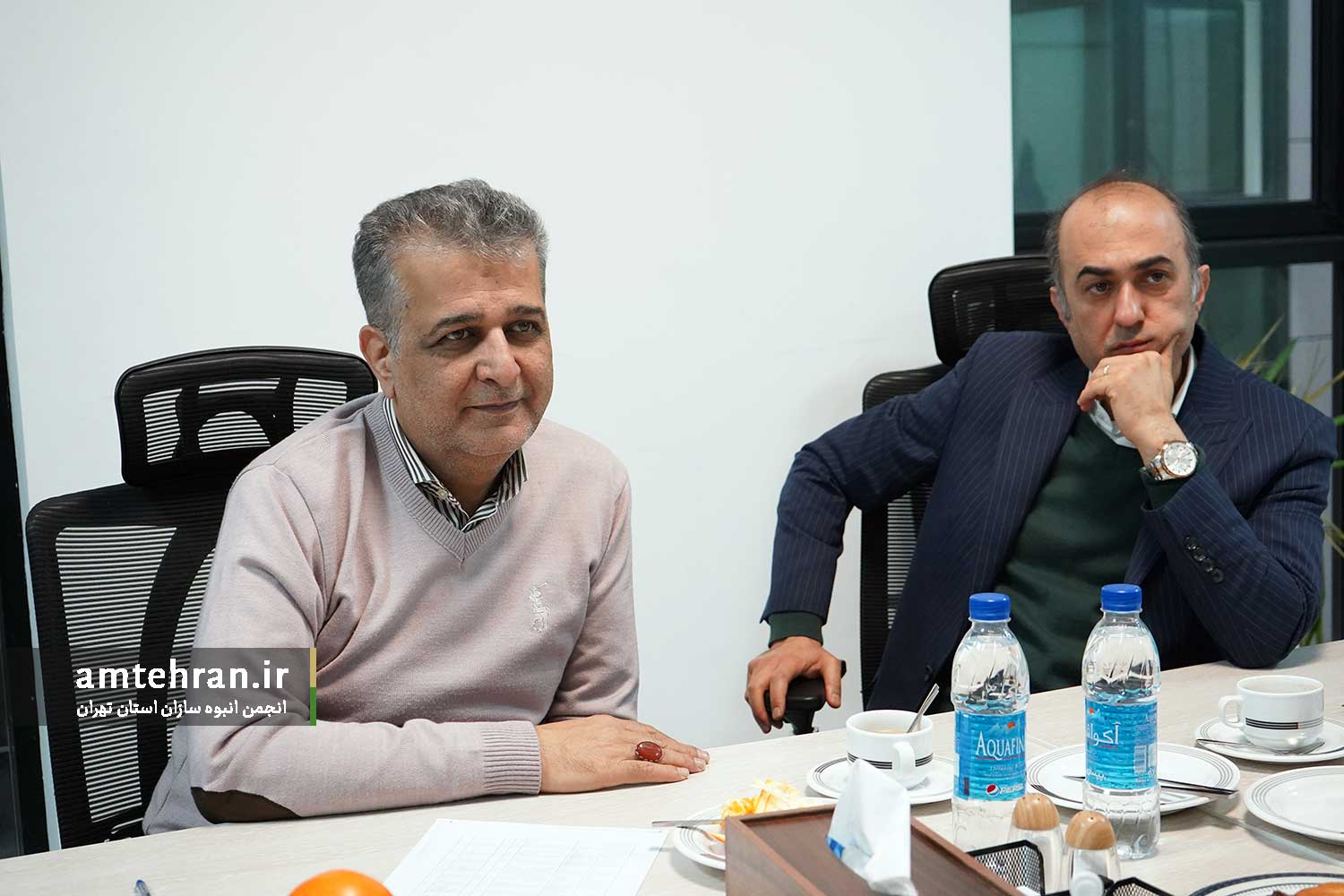 رامین گوران ساسان پیرزیاد