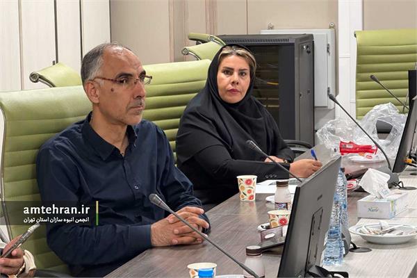 نشست کمیته نهضت ملی مسکن